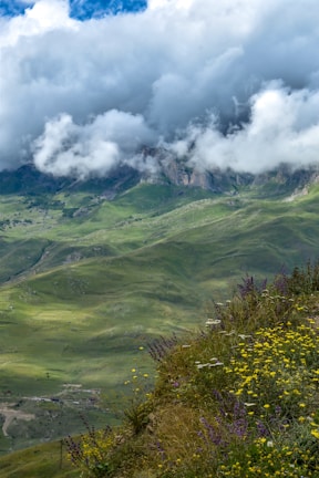 a landscape with clouds and trees