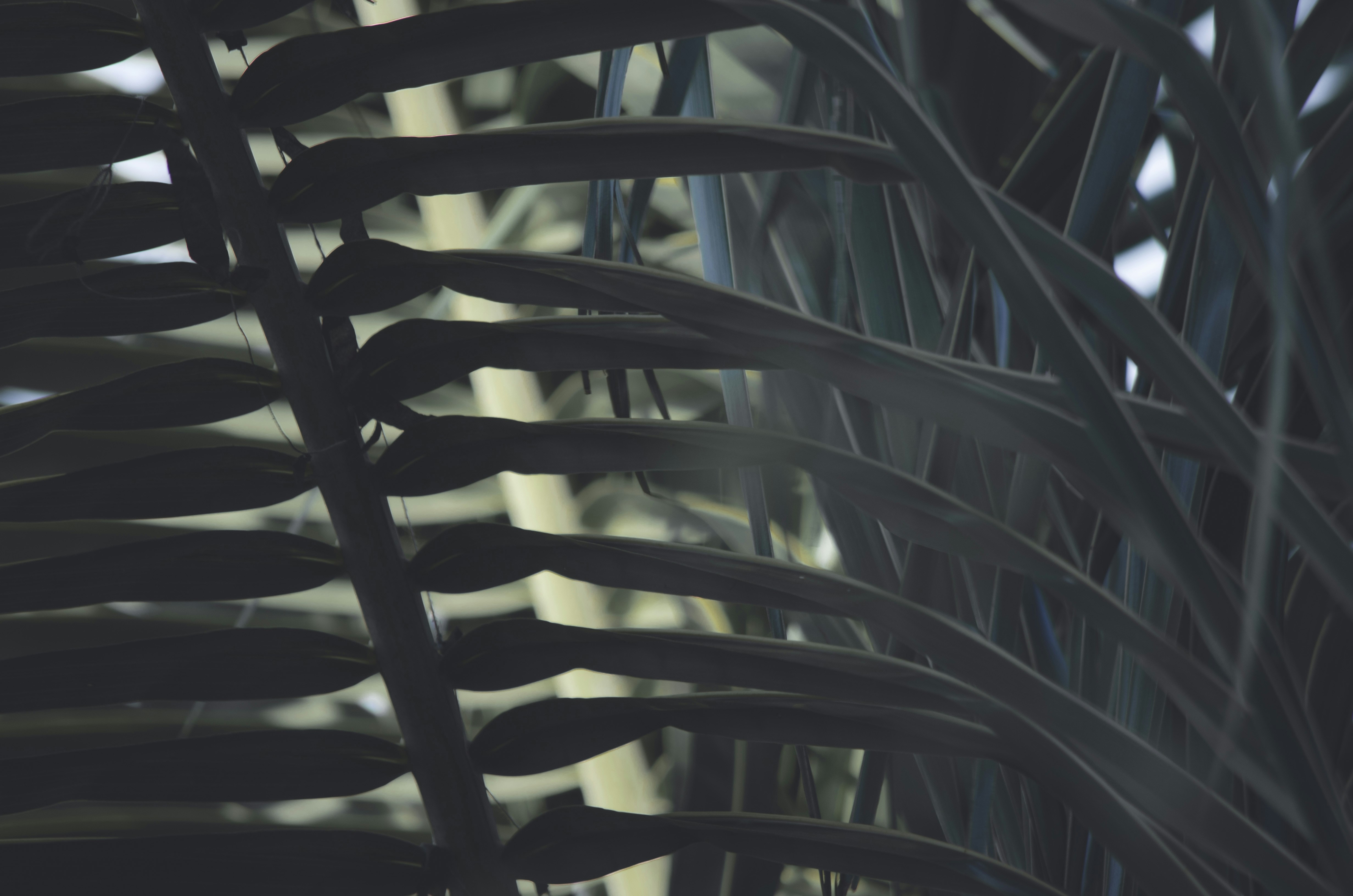 Photo by brunoschagas