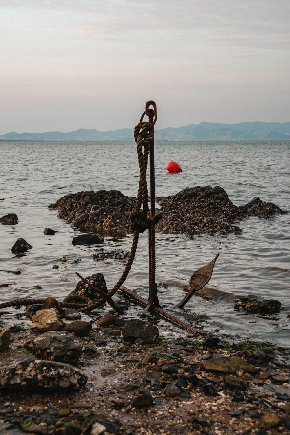 a person standing on a beach