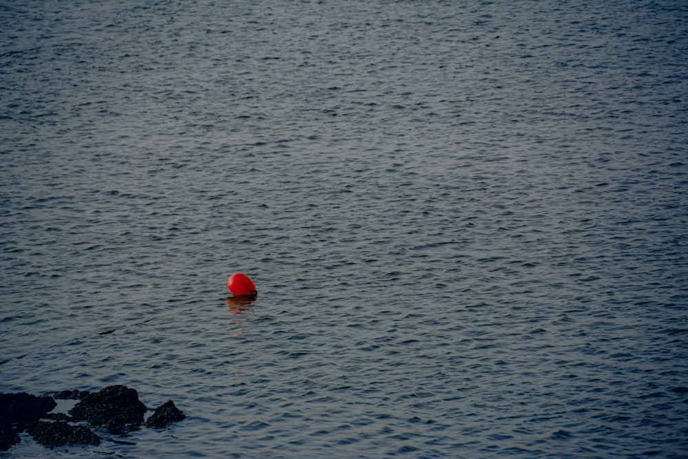 a red buoy in the water