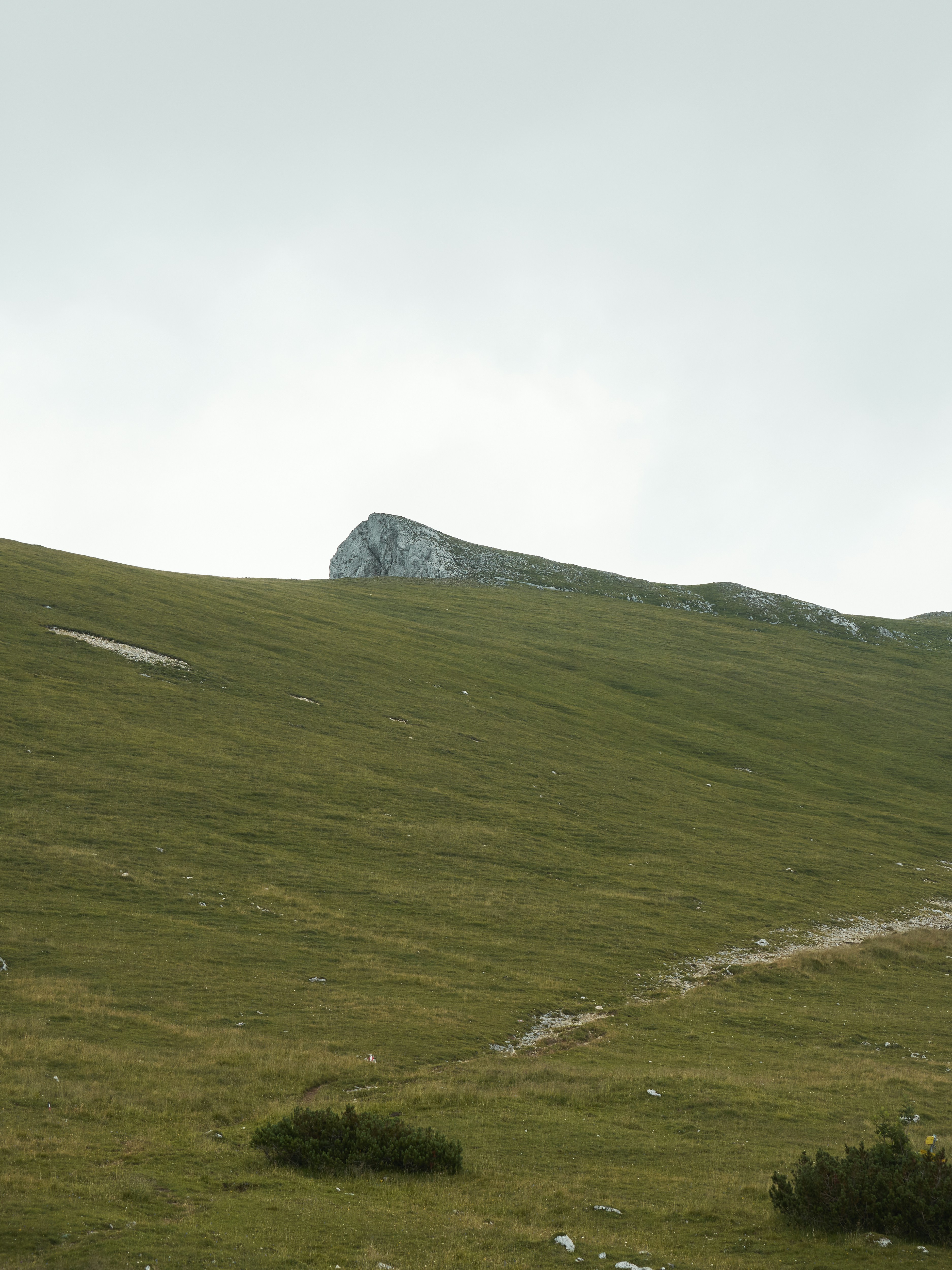 トレイルのある草が茂った丘