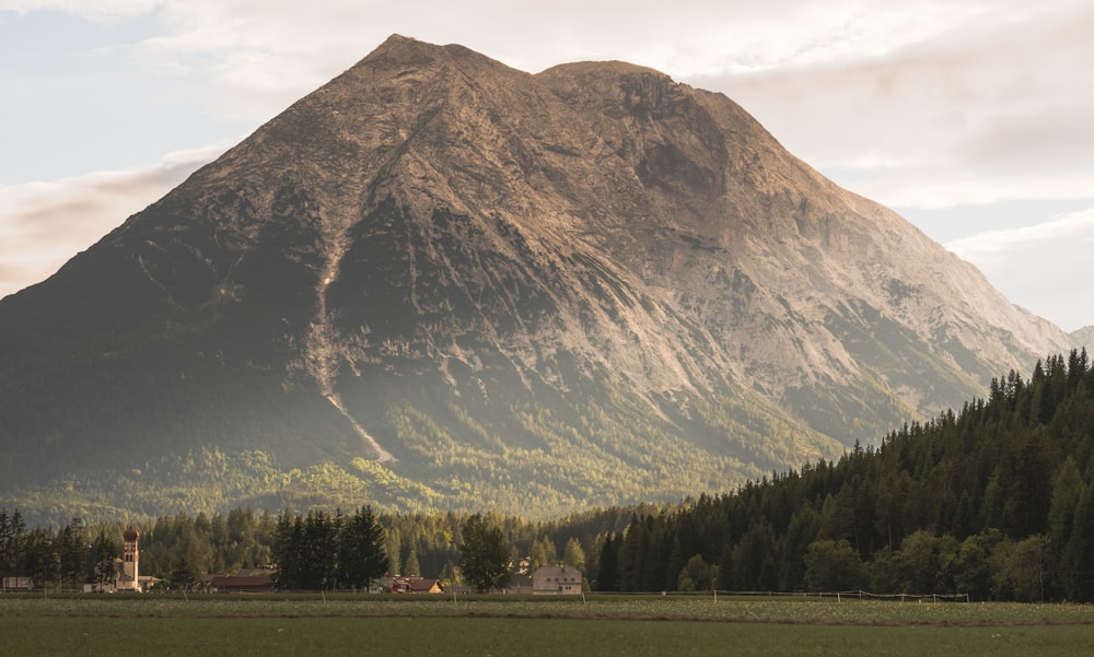 a large mountain with trees below