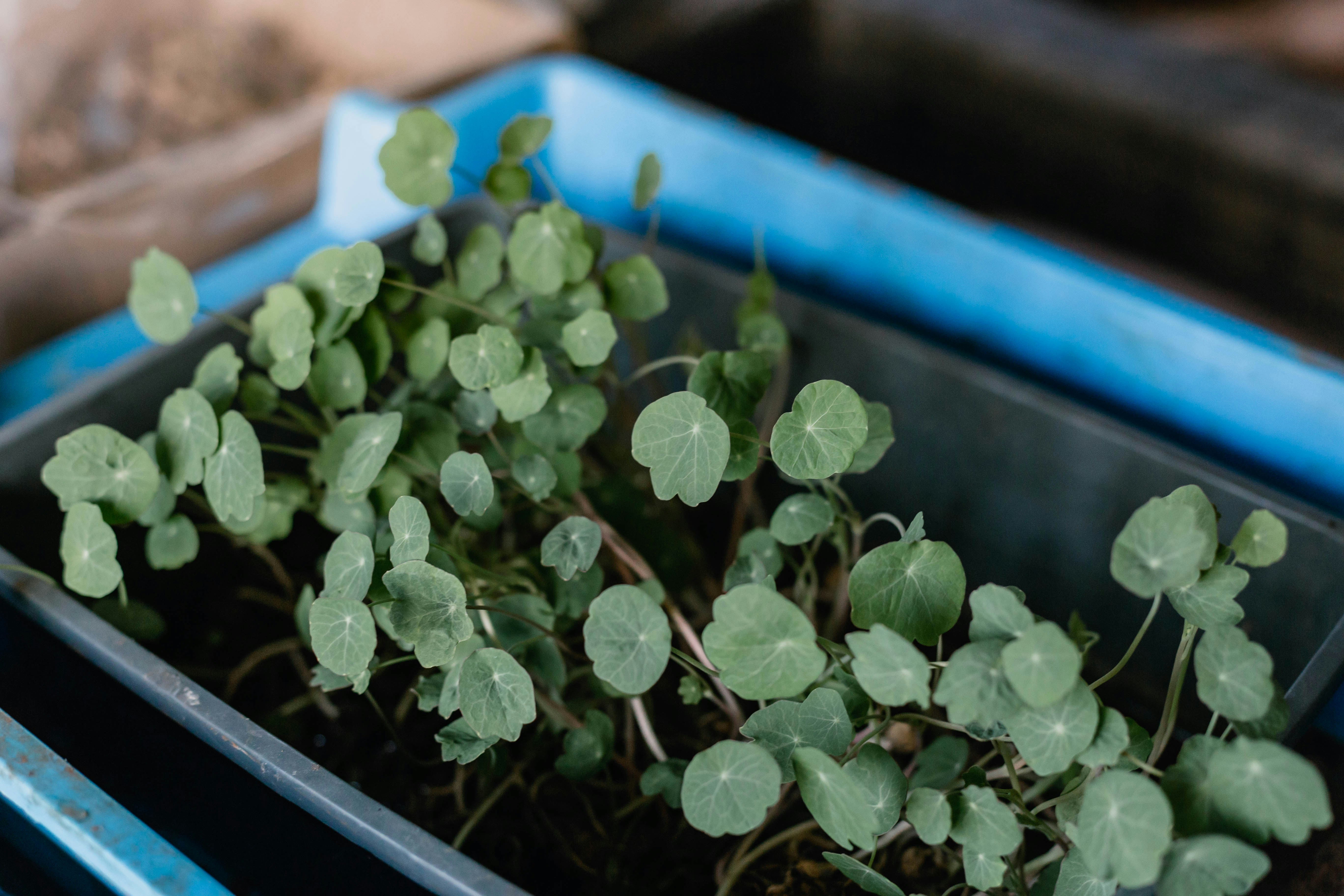 Photo by sincerelymedia