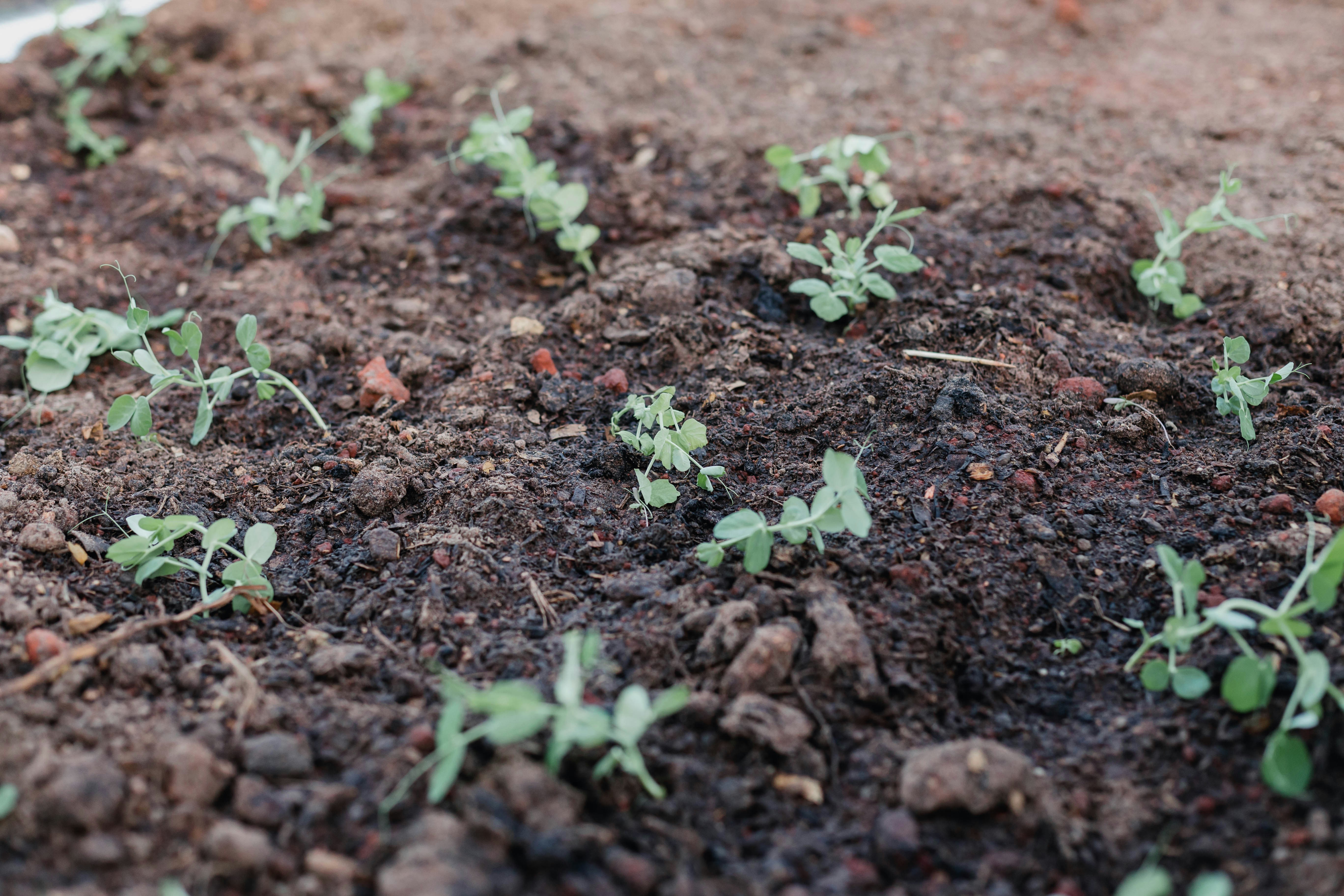 Photo by sincerelymedia