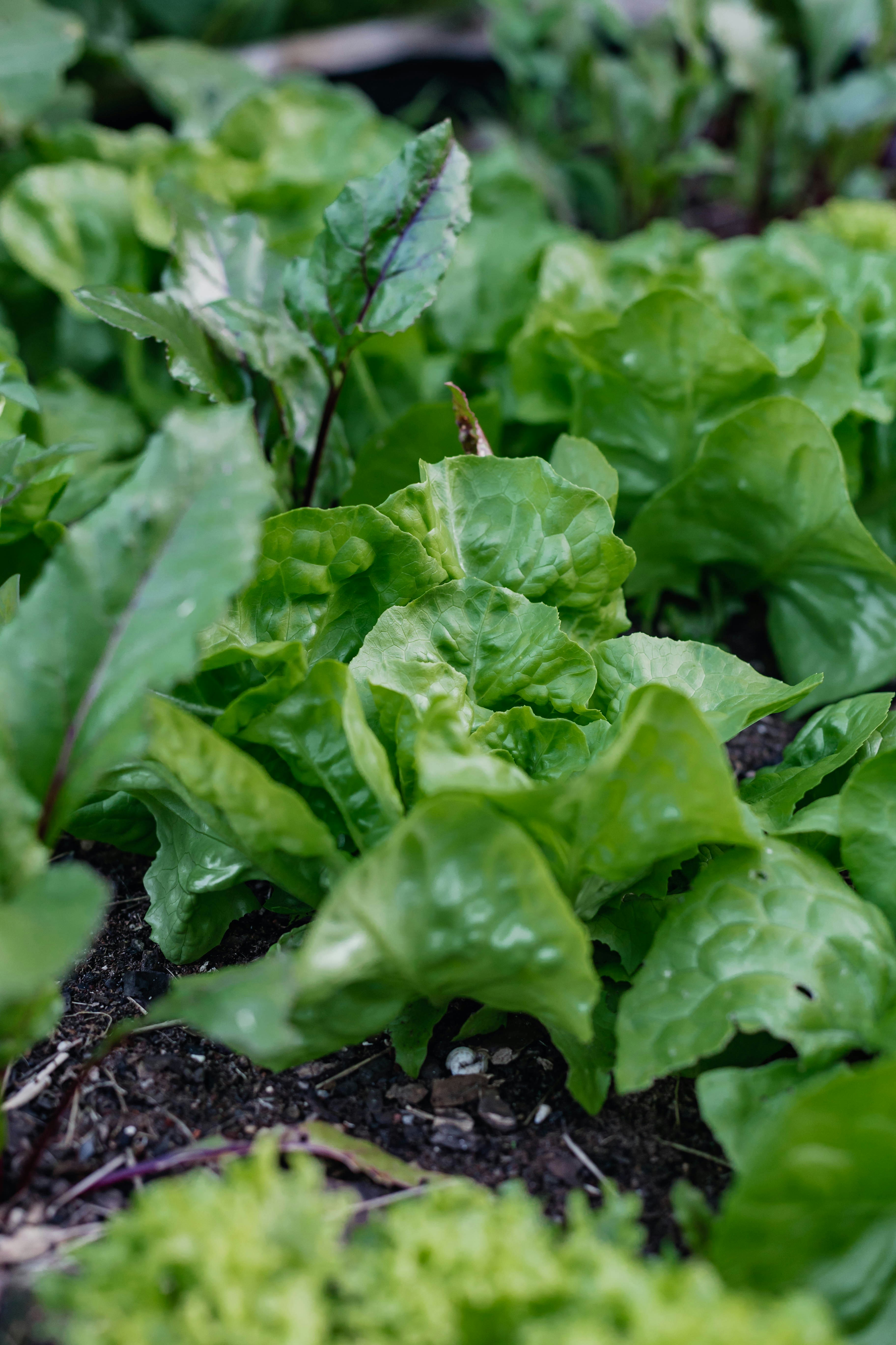 Photo by sincerelymedia