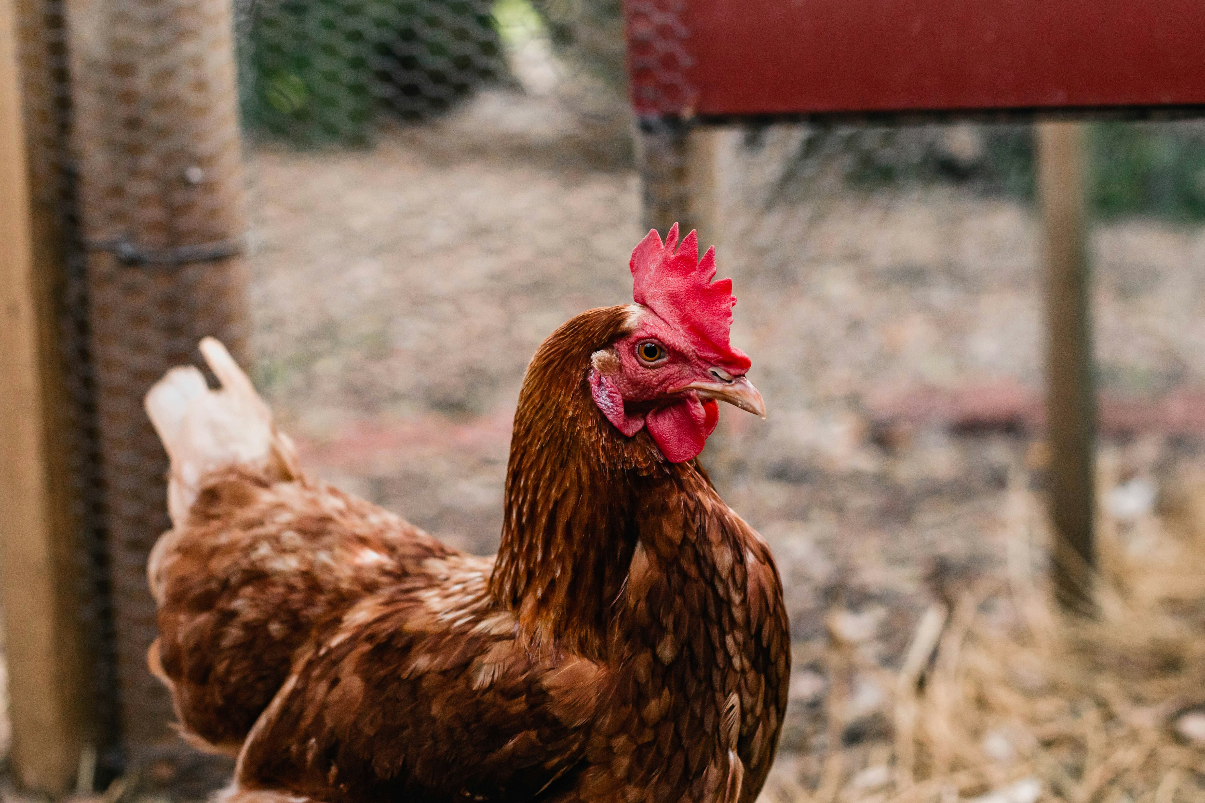 Photo by sincerelymedia