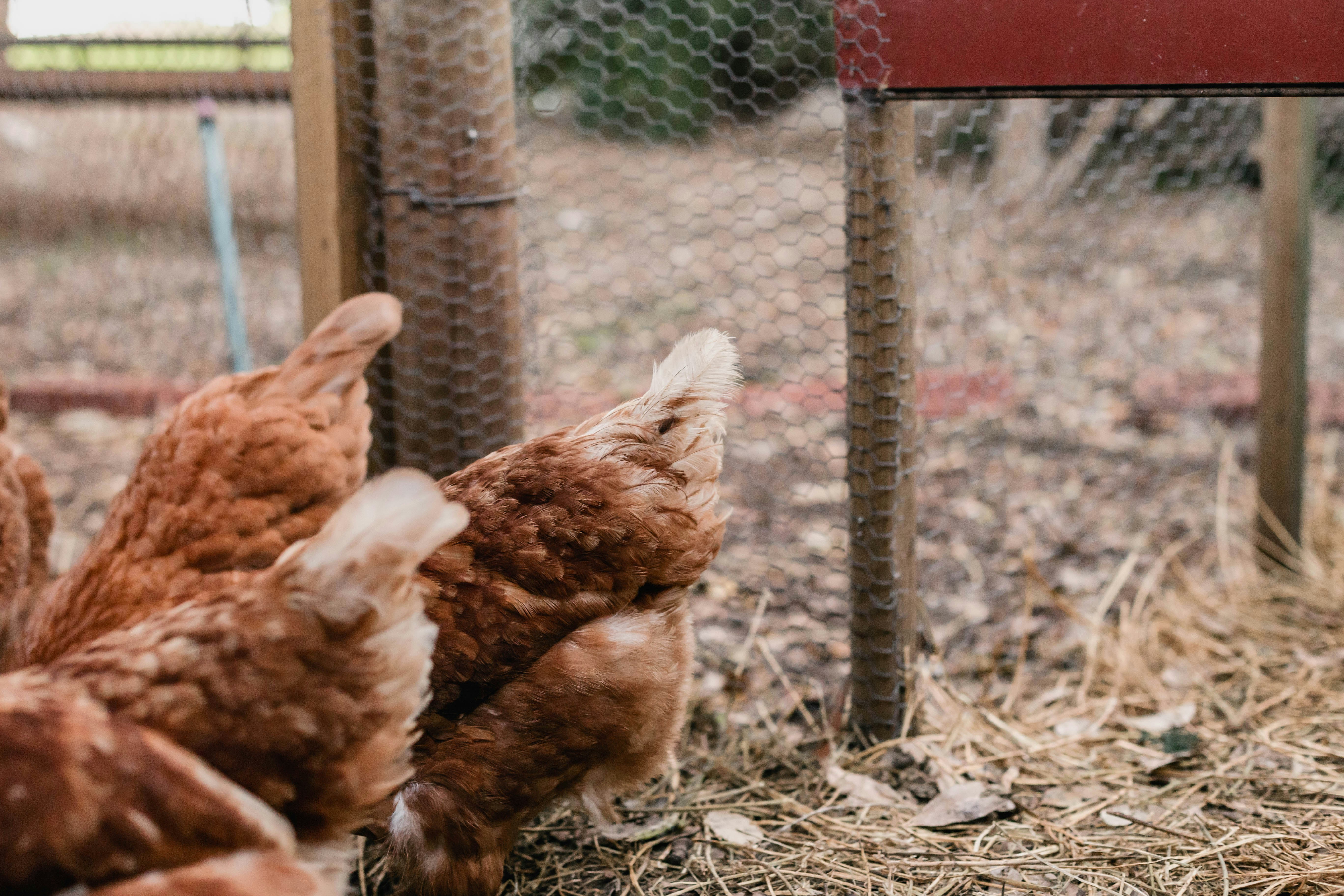 Photo by sincerelymedia