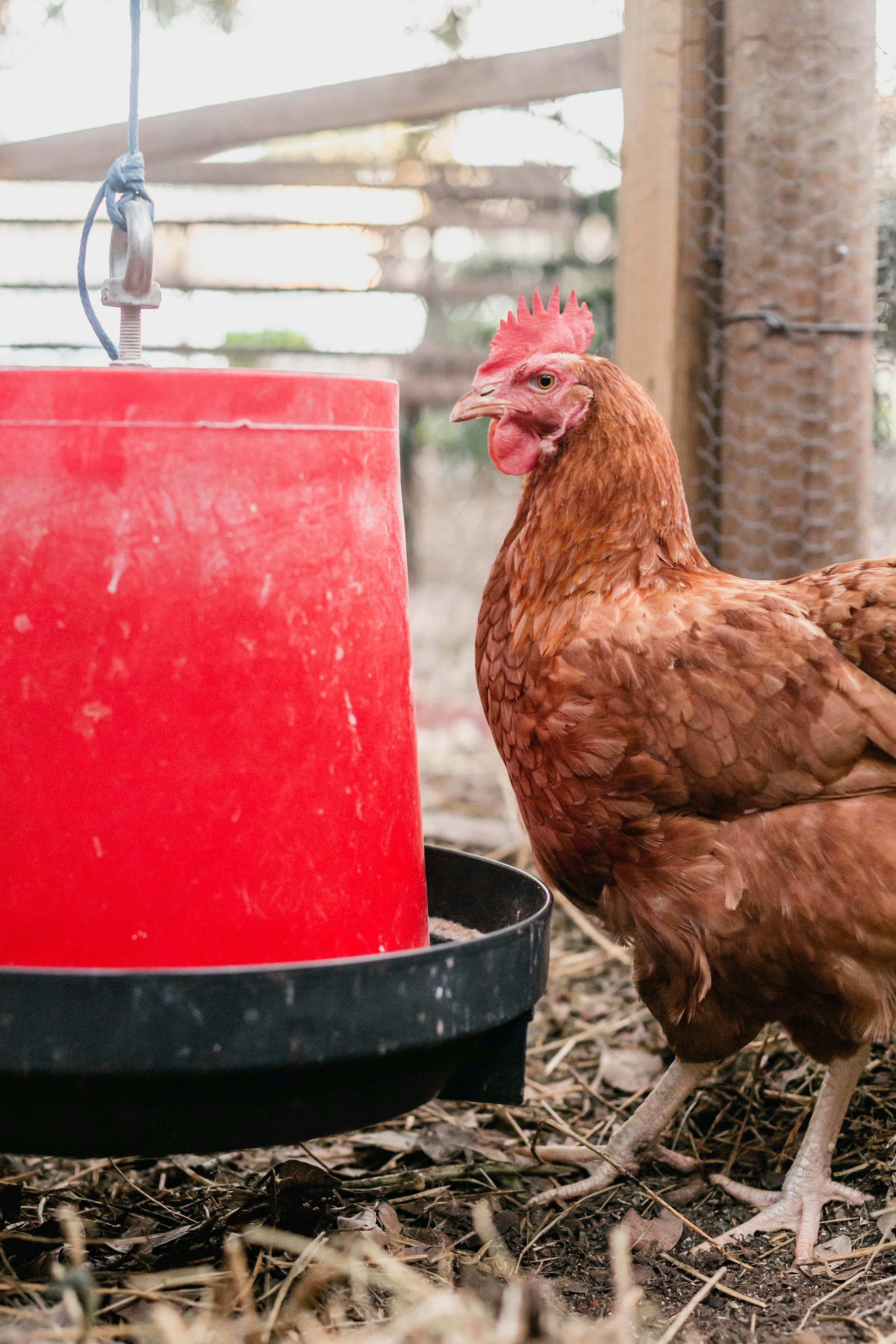 Photo by sincerelymedia