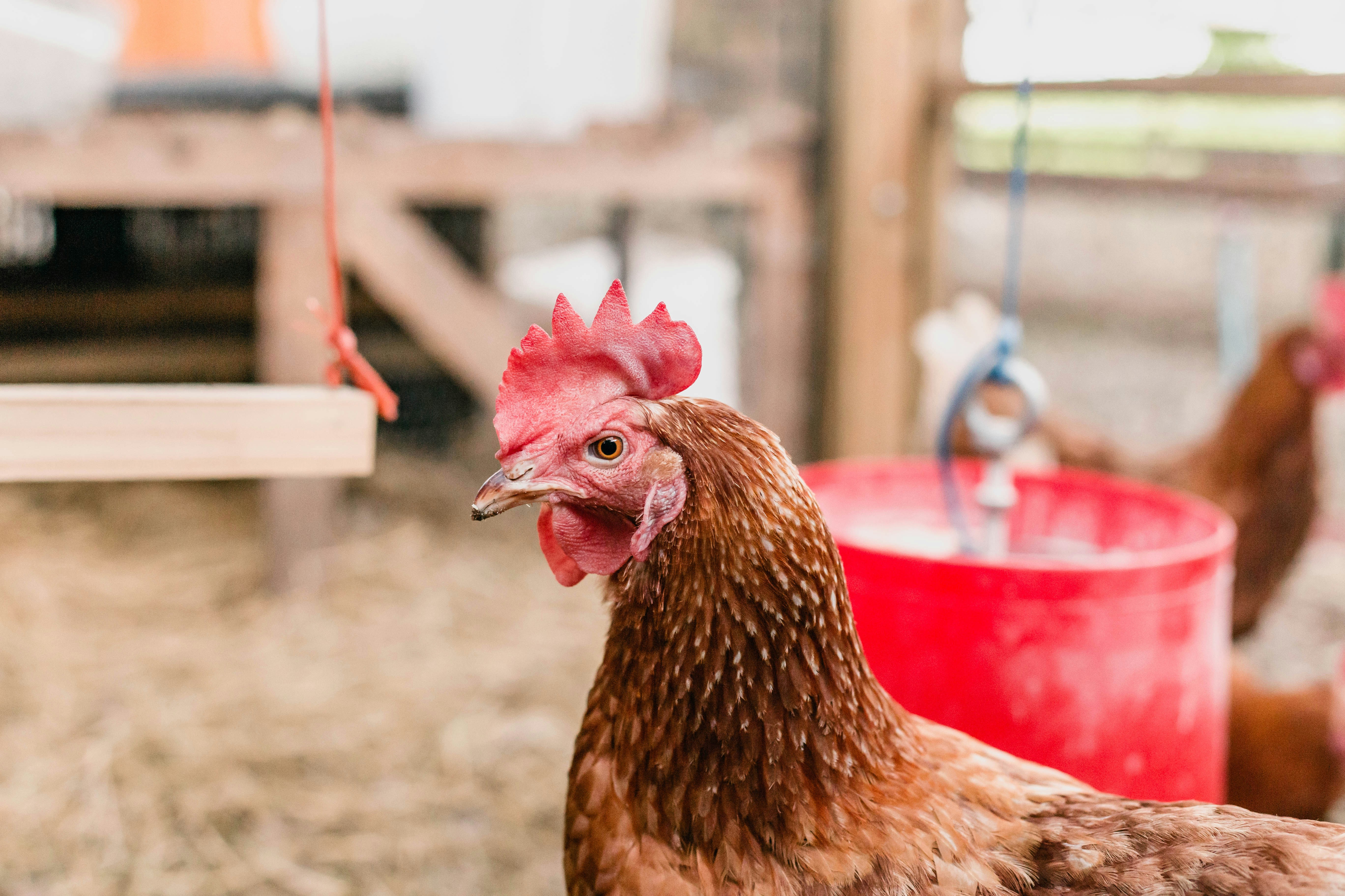 Photo by sincerelymedia