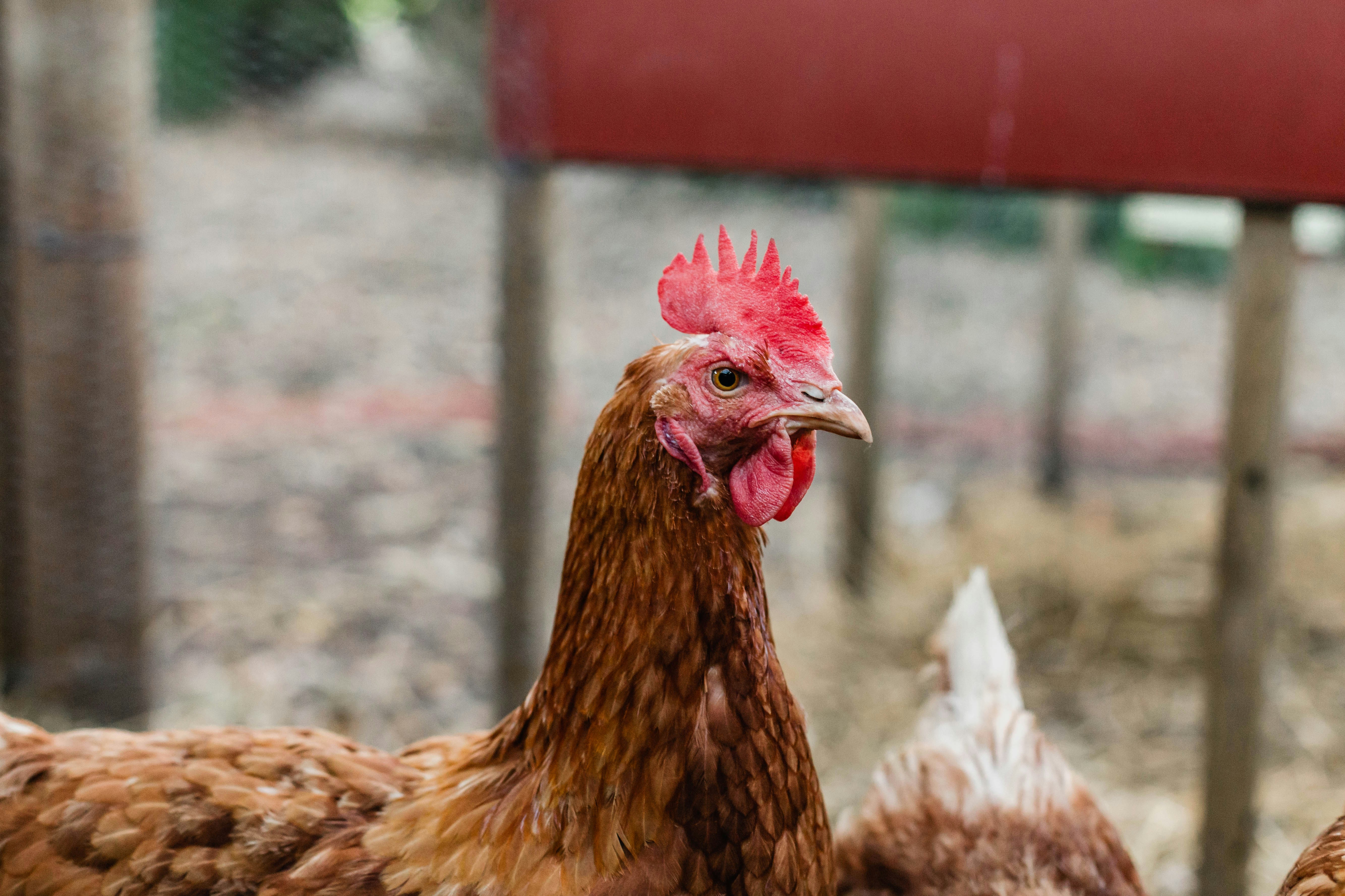 Photo by sincerelymedia