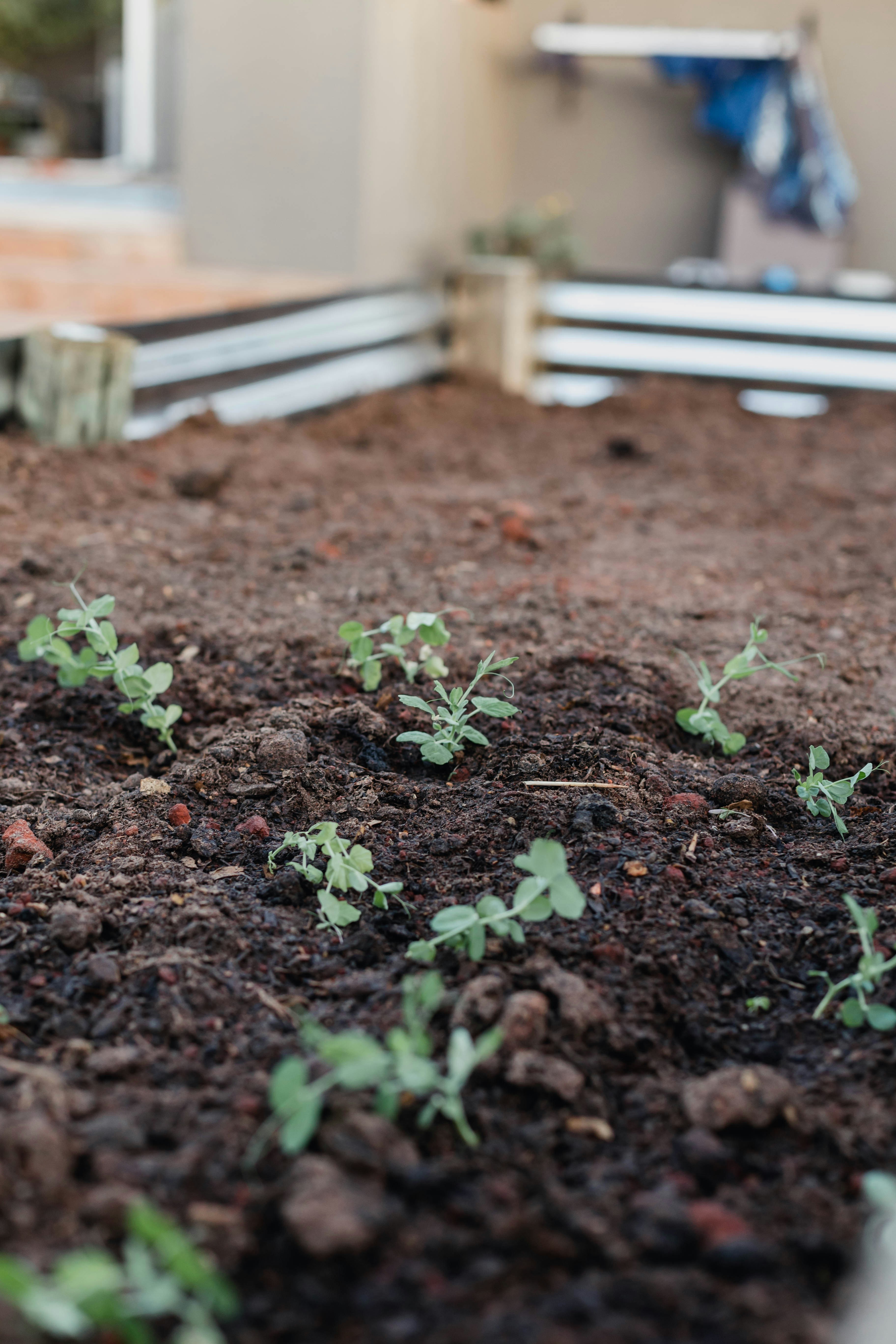 Photo by sincerelymedia