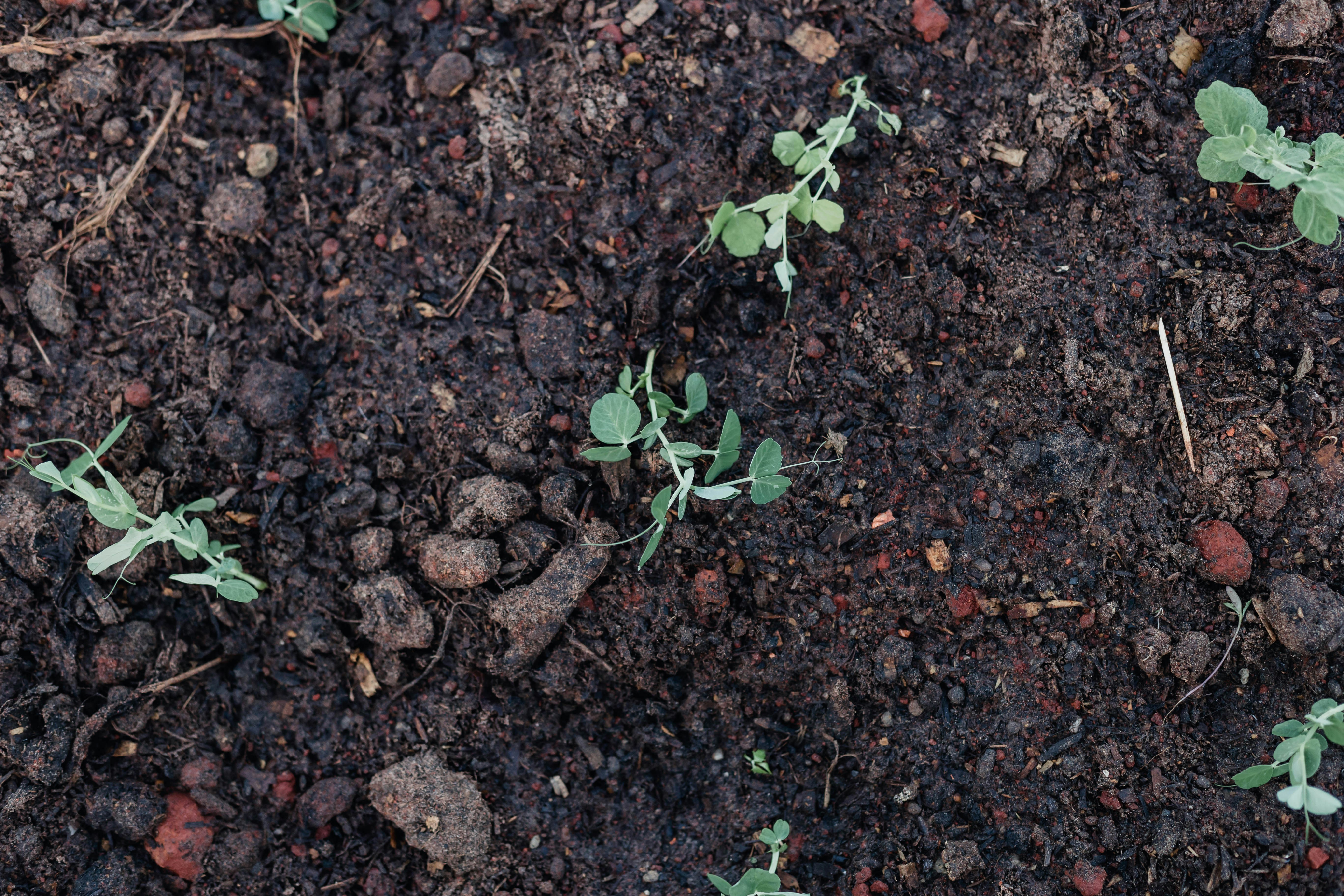 Photo by sincerelymedia