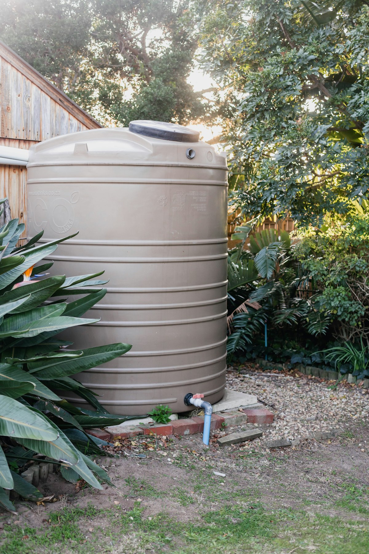 Rain Barrels vs Municipal Water: Does Collecting Rainwater for Your Garden Actually Save Money?