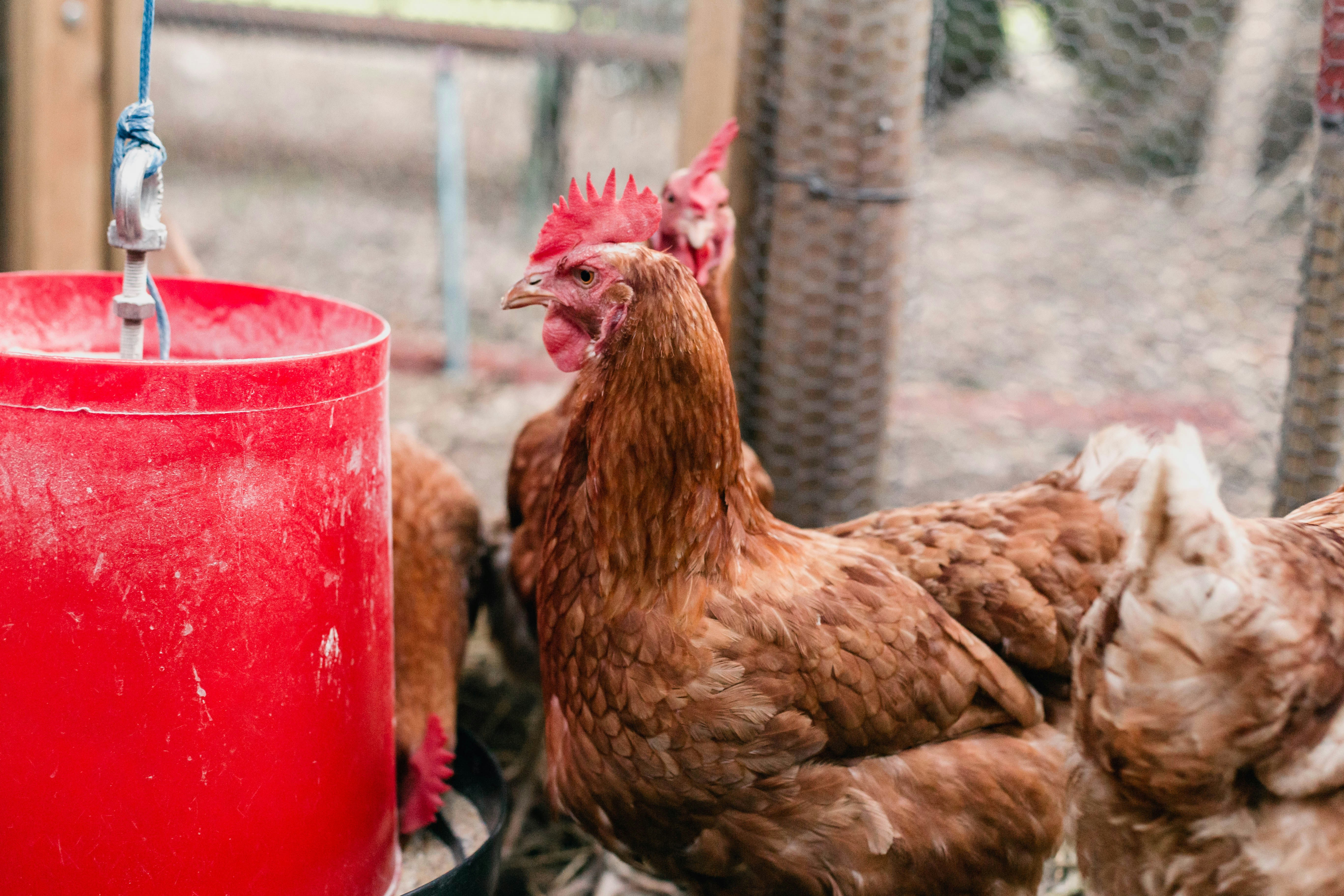 Photo by sincerelymedia