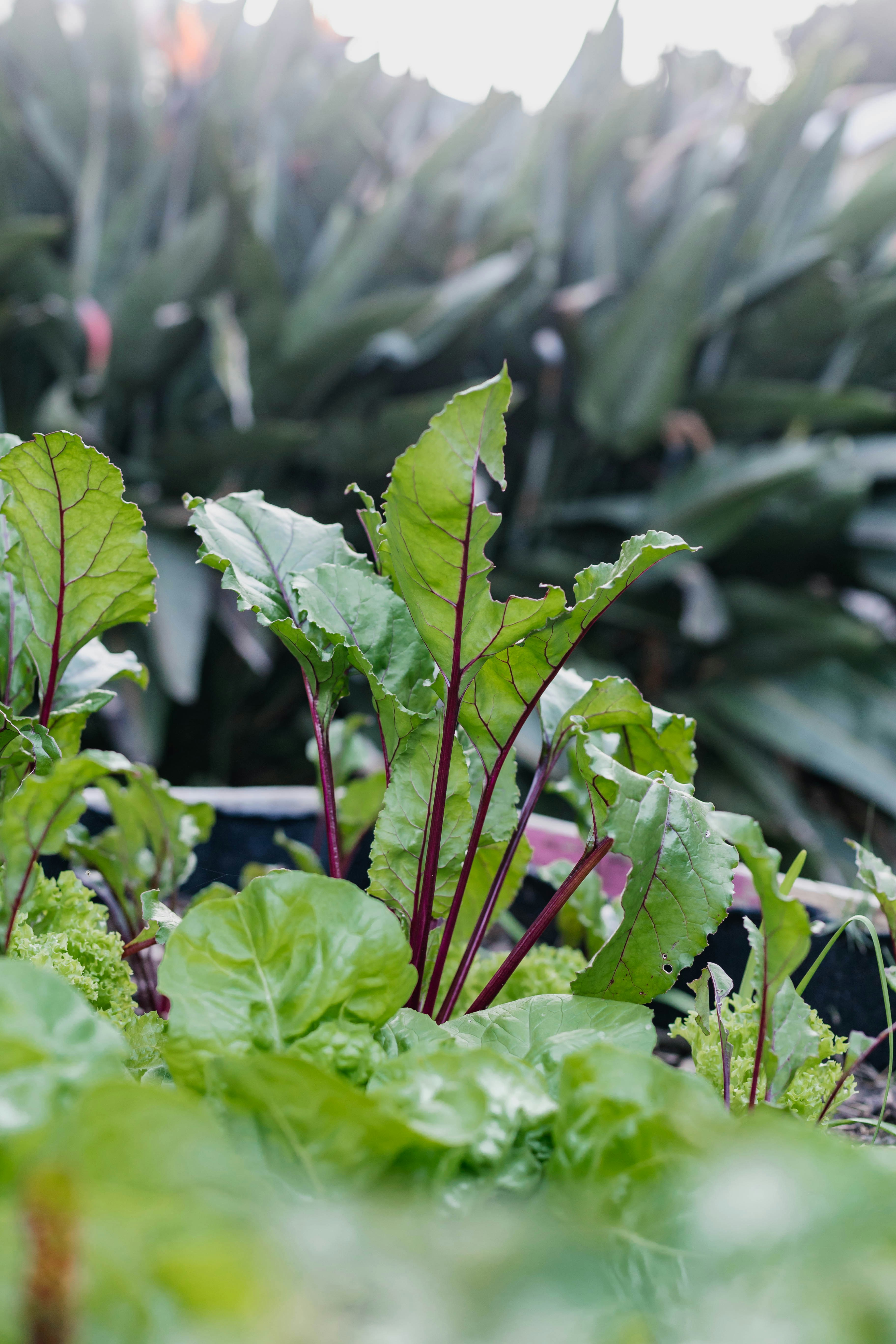 Photo by sincerelymedia