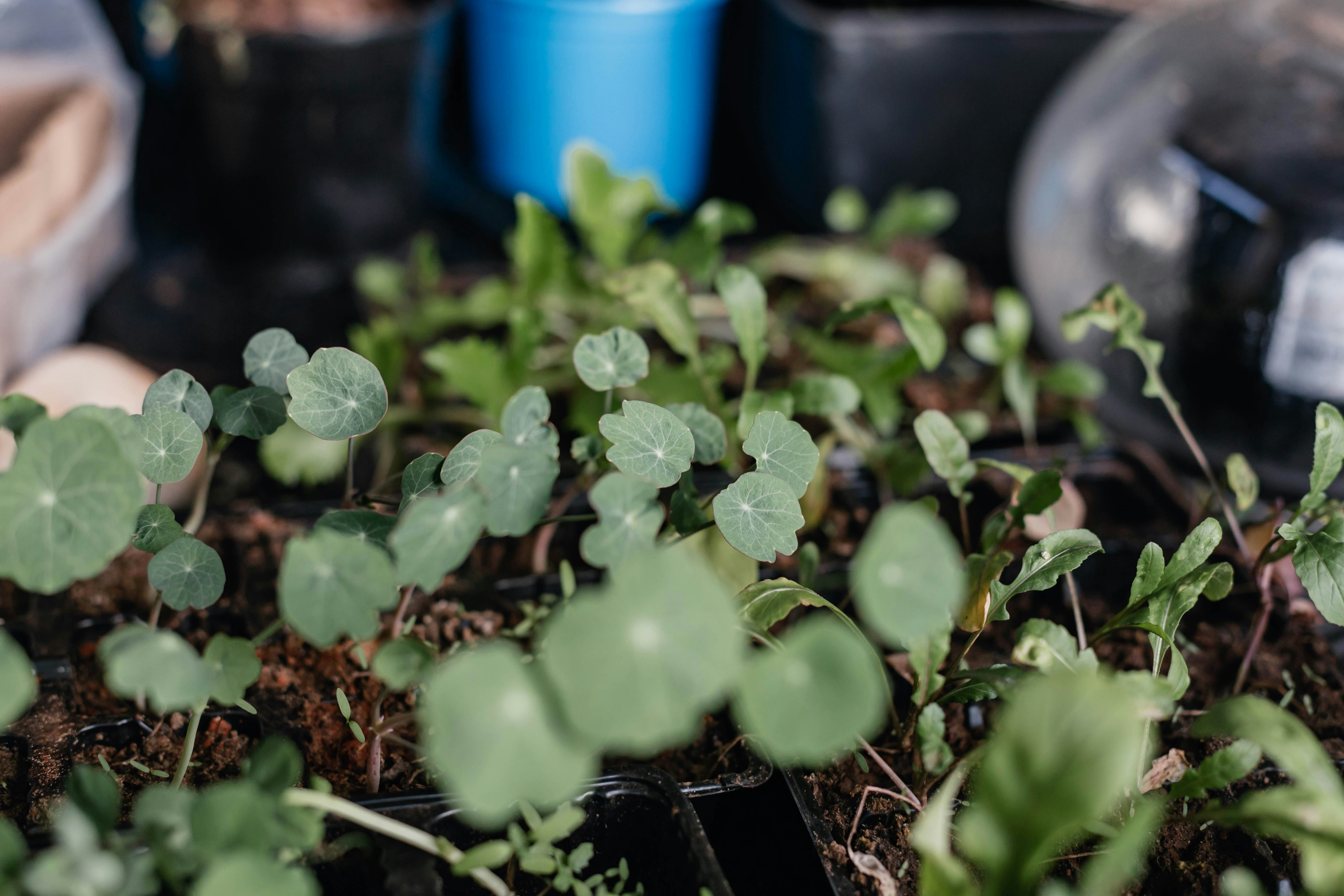 Photo by sincerelymedia