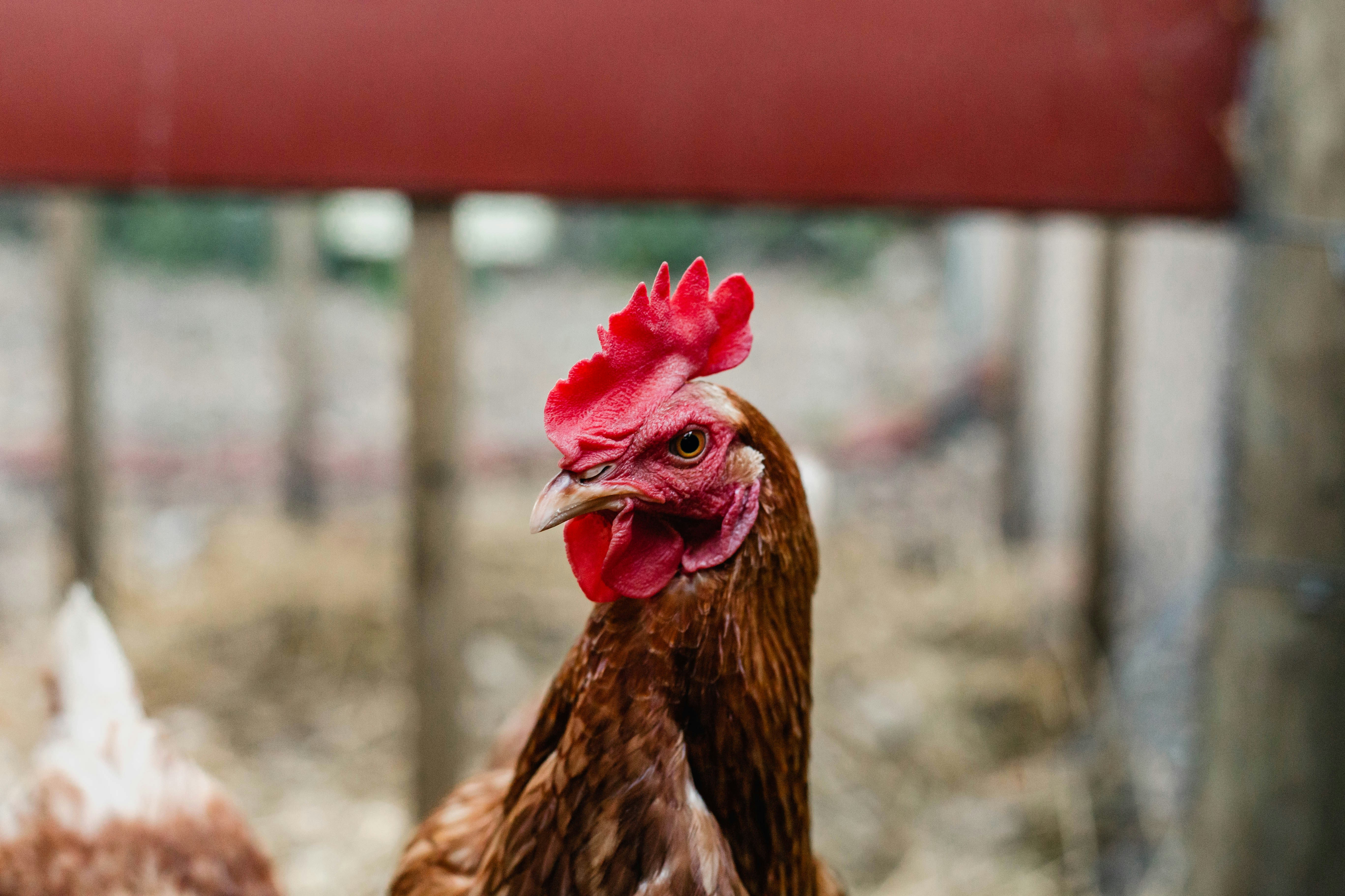 Photo by sincerelymedia