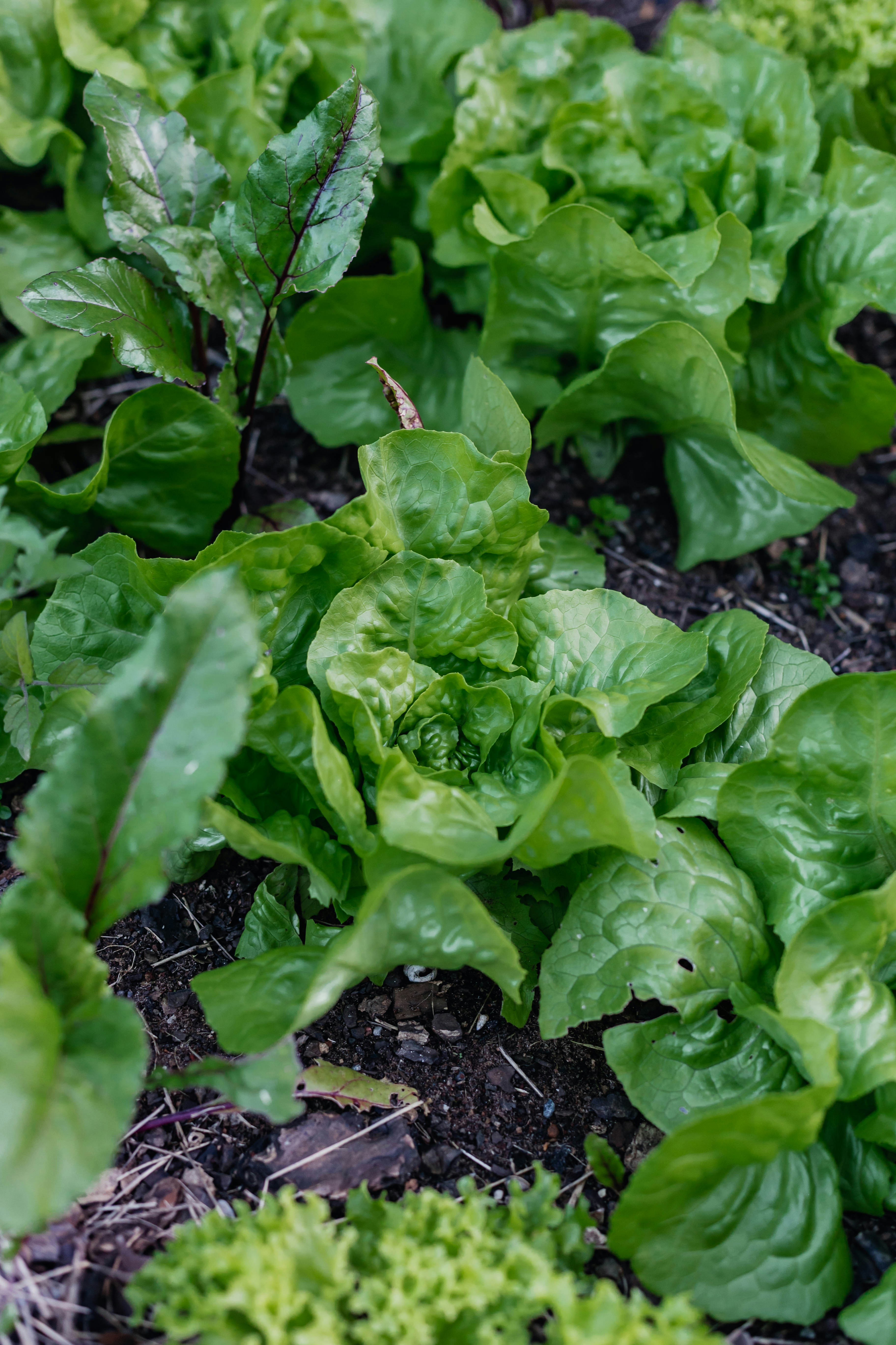 Photo by sincerelymedia