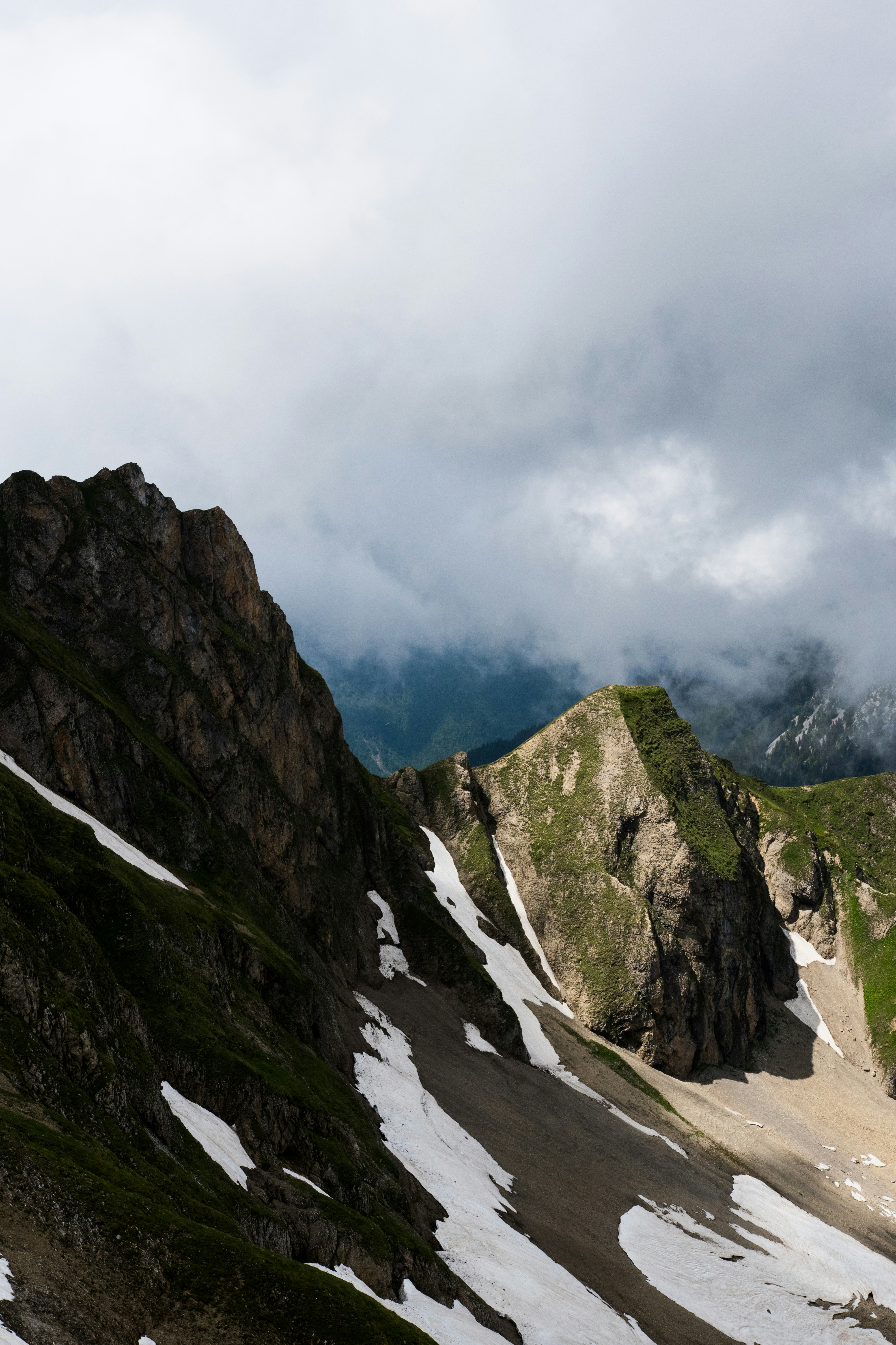 Photo by ptrlt_photo