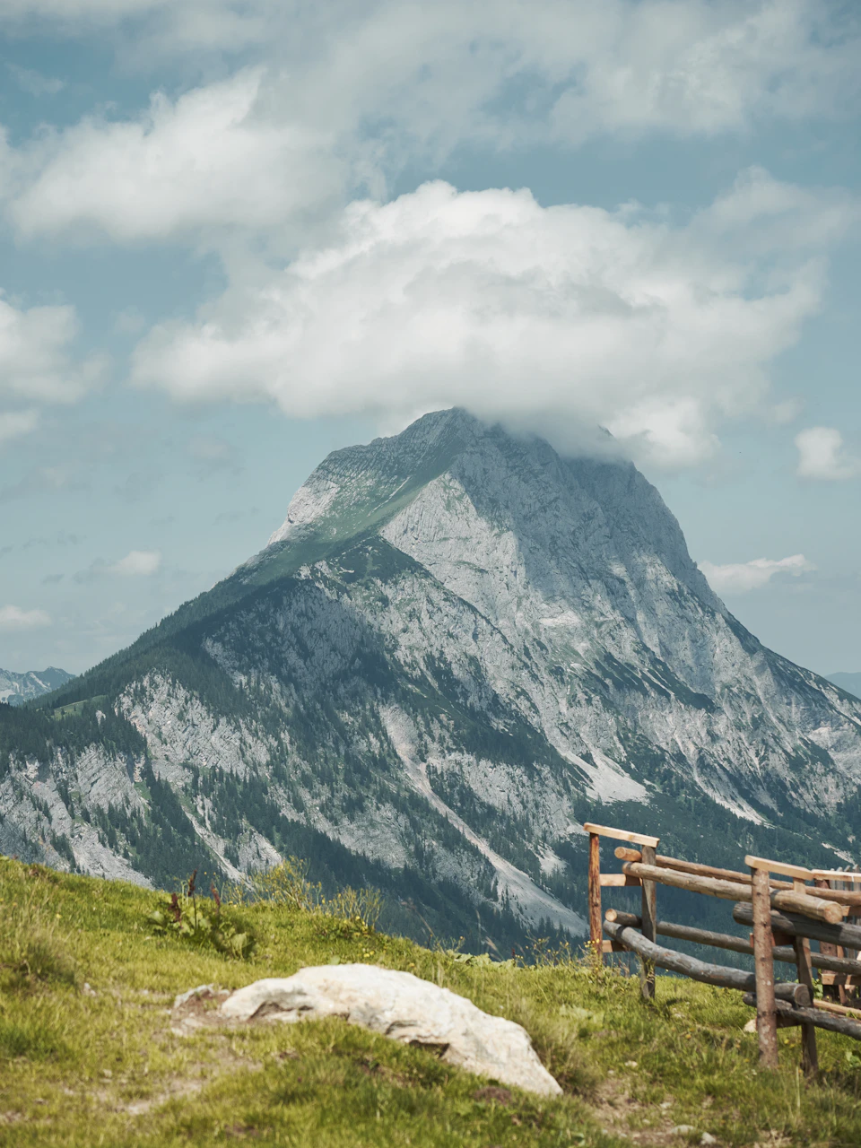 Majestic mountain range with gray peak surrounded by lush green trees and shrubs