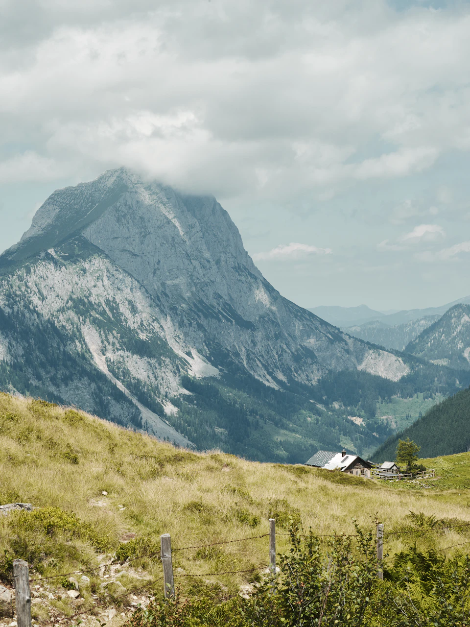Serene mountain landscape features snow-capped peak surrounded by lush green trees and shrubs