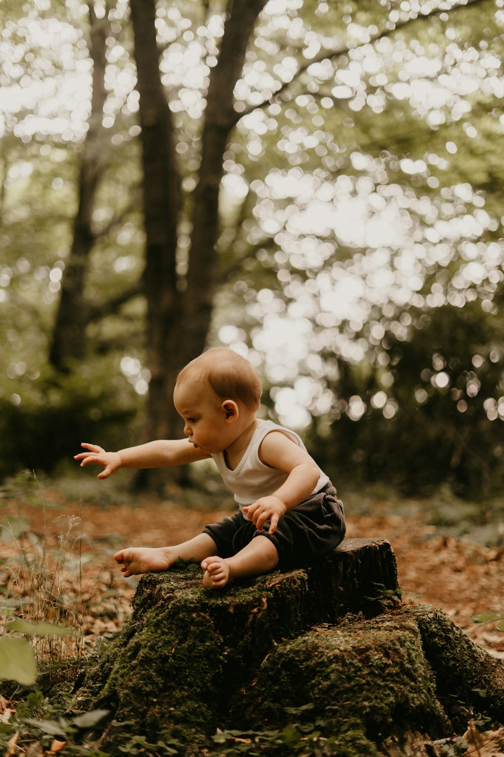 a baby crawling on a rock