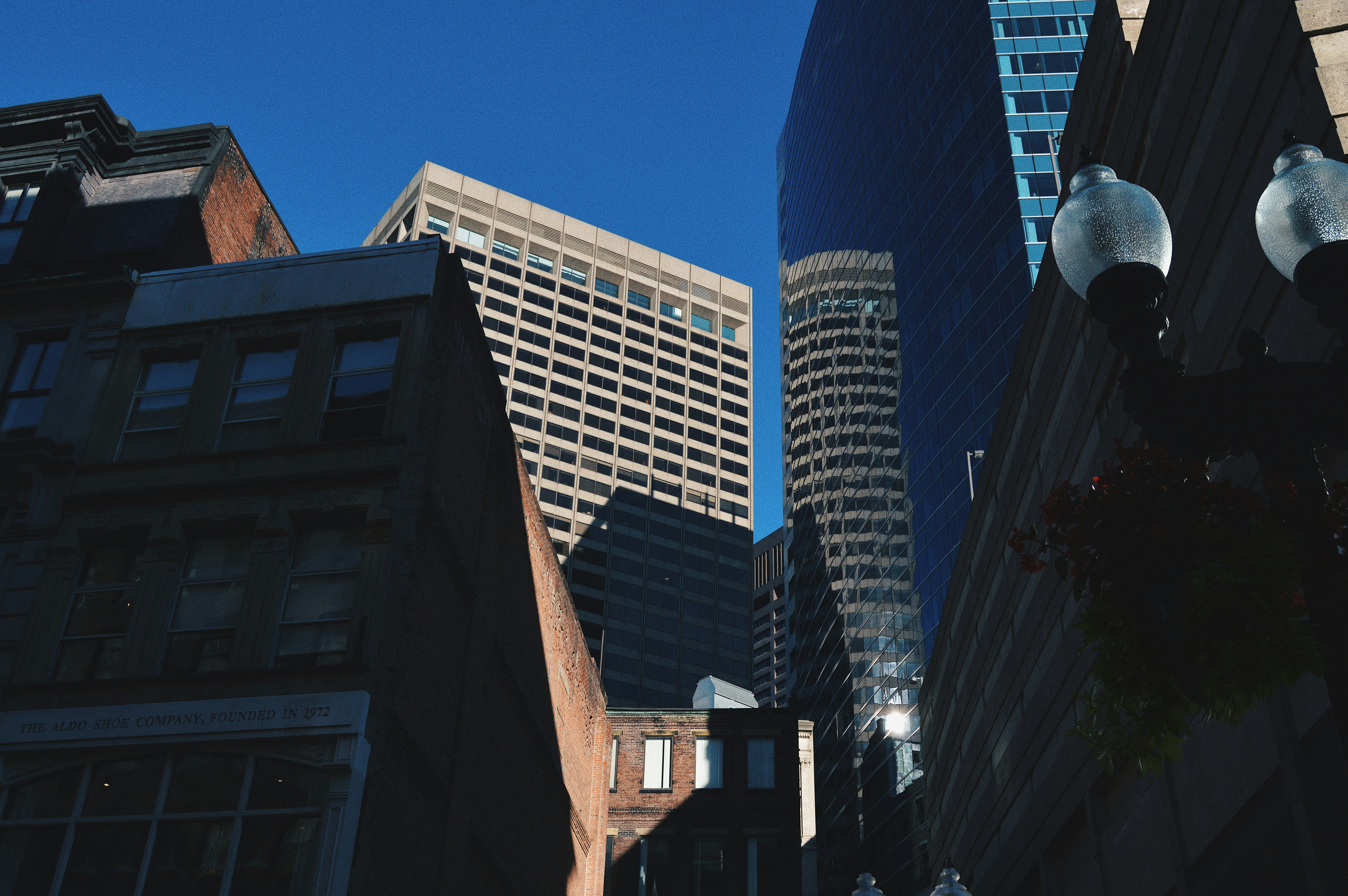 Photo by aliciamorency