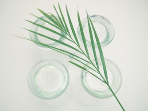 Set of decorative palm leaf trays arranged artistically