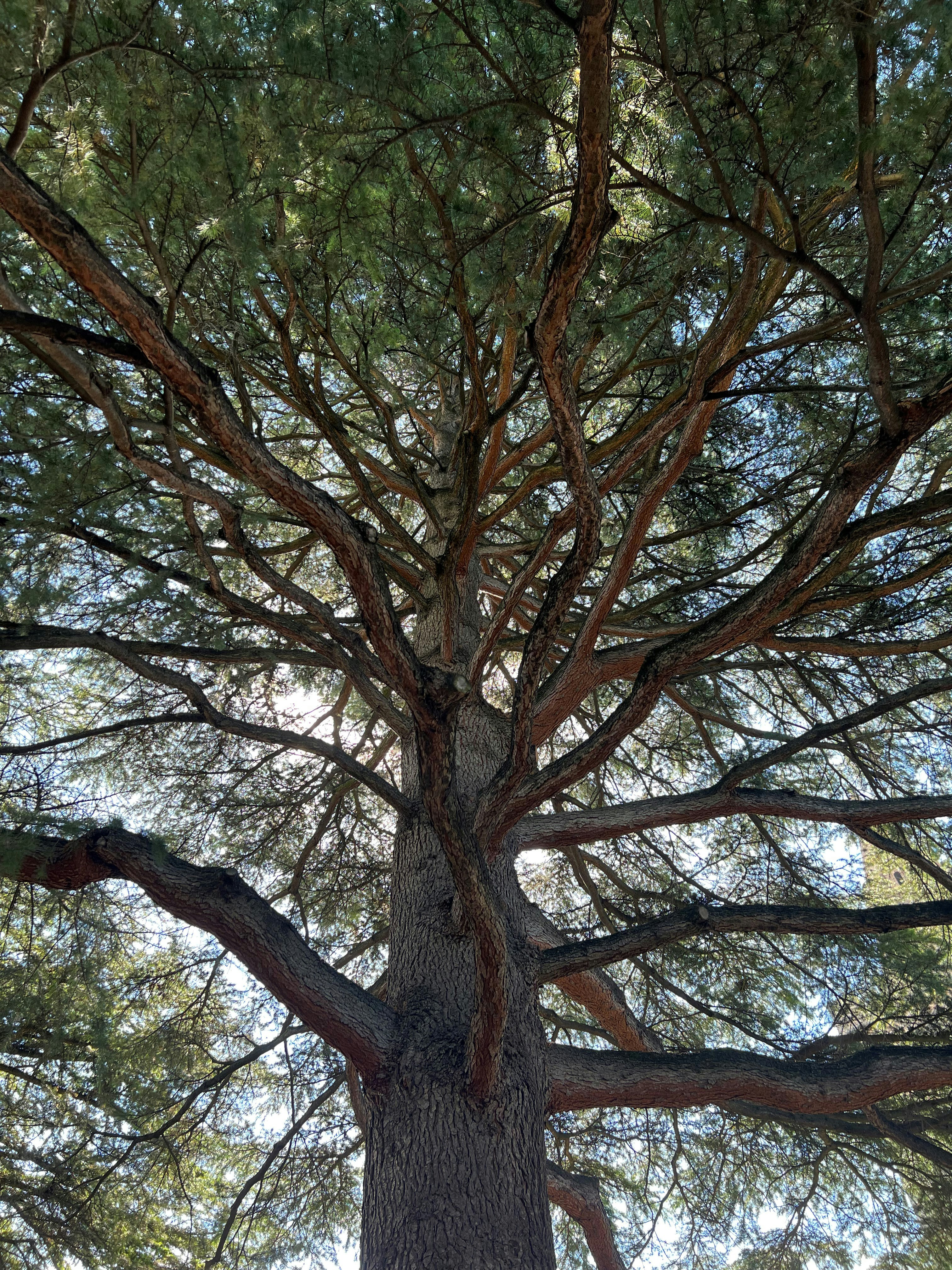 Photo by mike_loftus