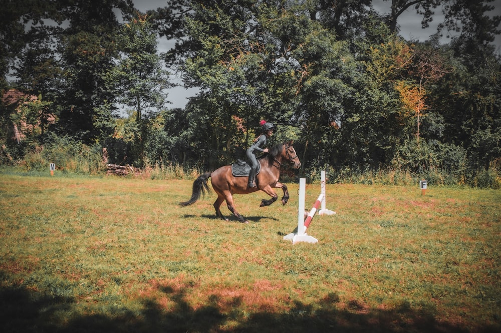 a person riding a horse over a jump