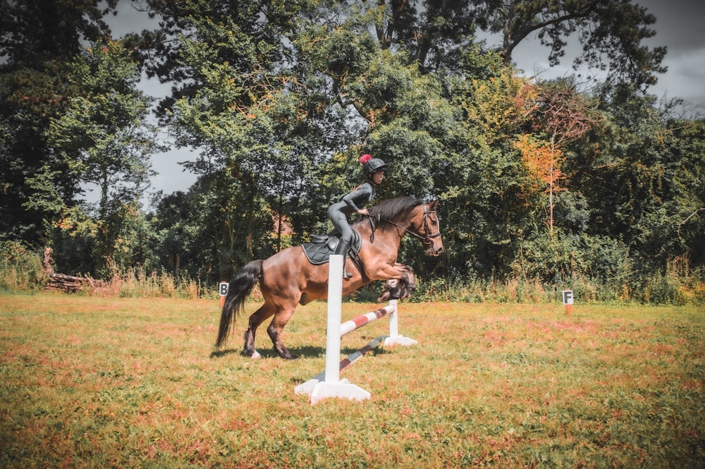 a person riding a horse