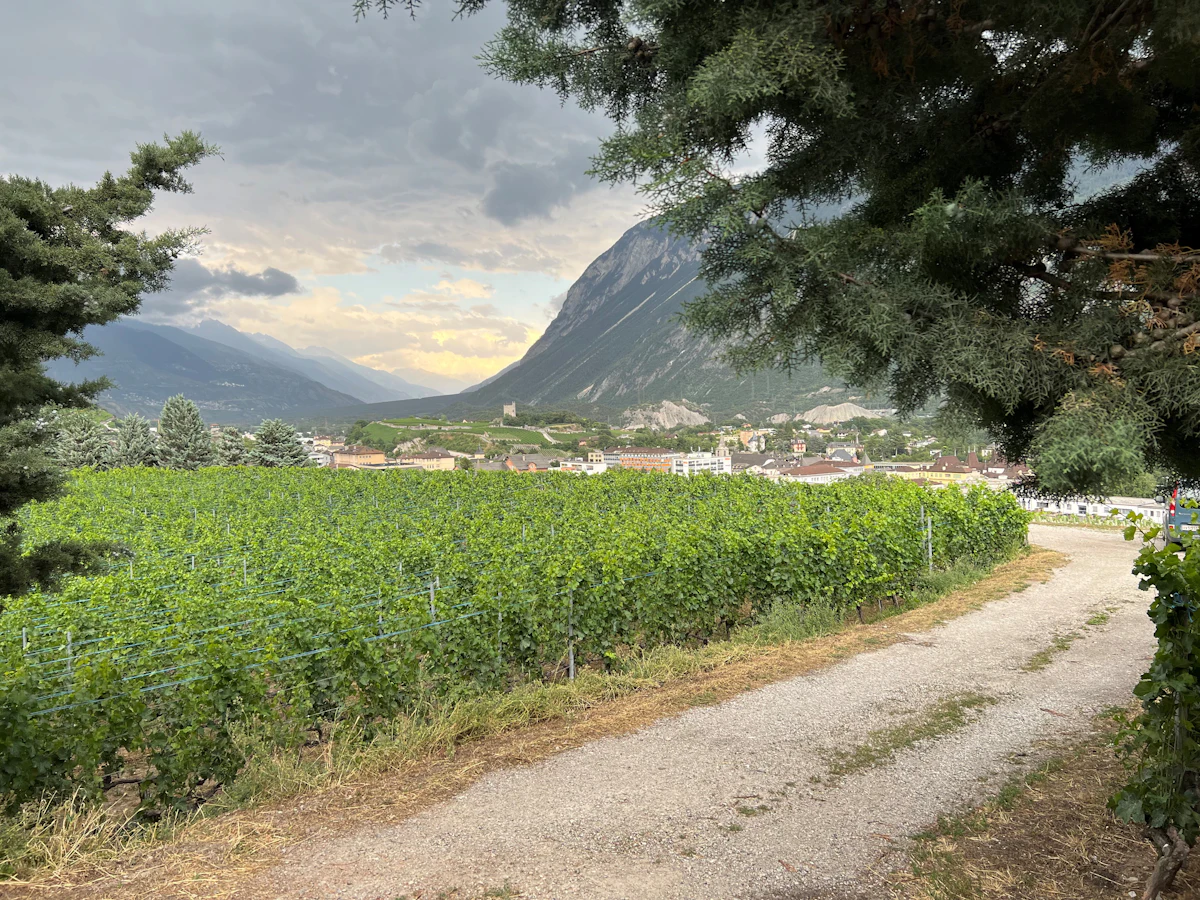 A dirt road through vineyards on the edge of Sierre, with mountains behind