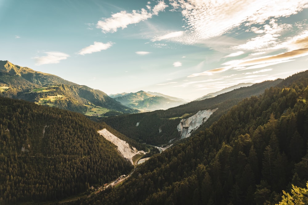 a landscape with trees and mountains