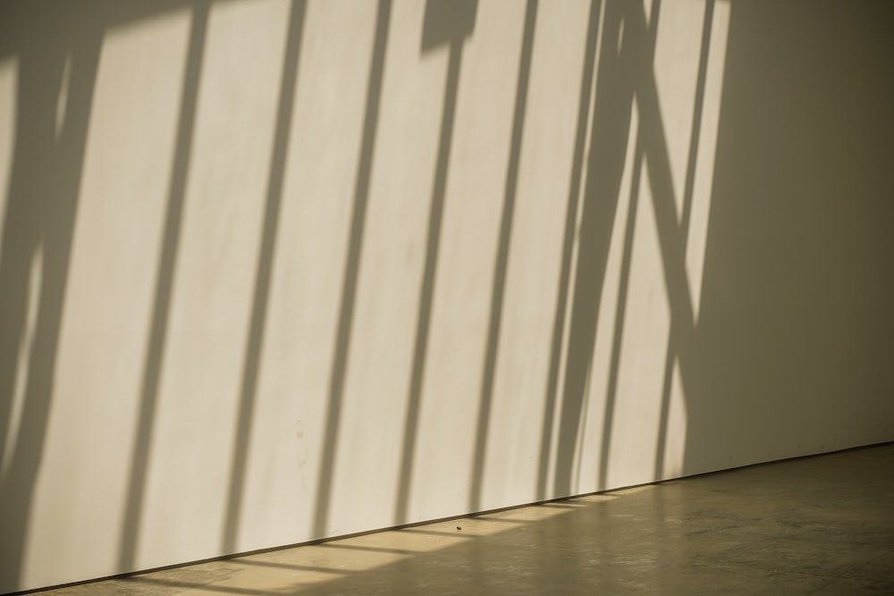 a shadow of a person on a wall