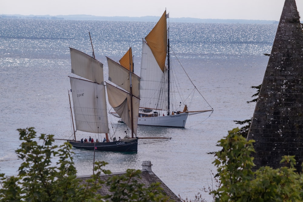 a group of sailboats on the water