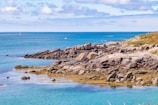 a rocky beach with blue water