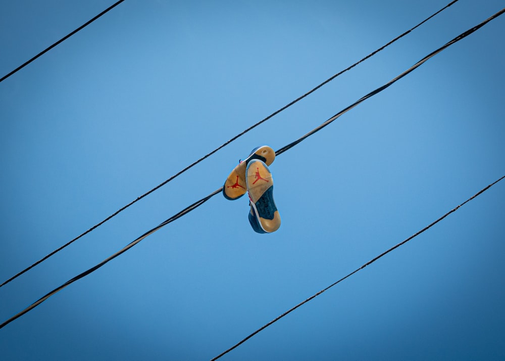 a person on a power line