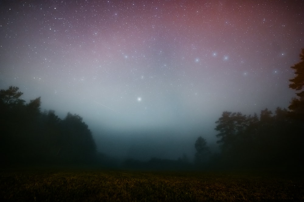 a field with trees and a starry sky above