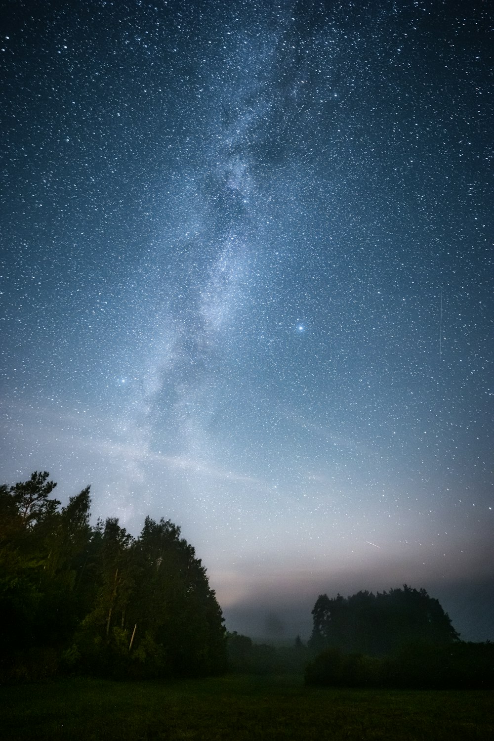 a starry night sky over trees