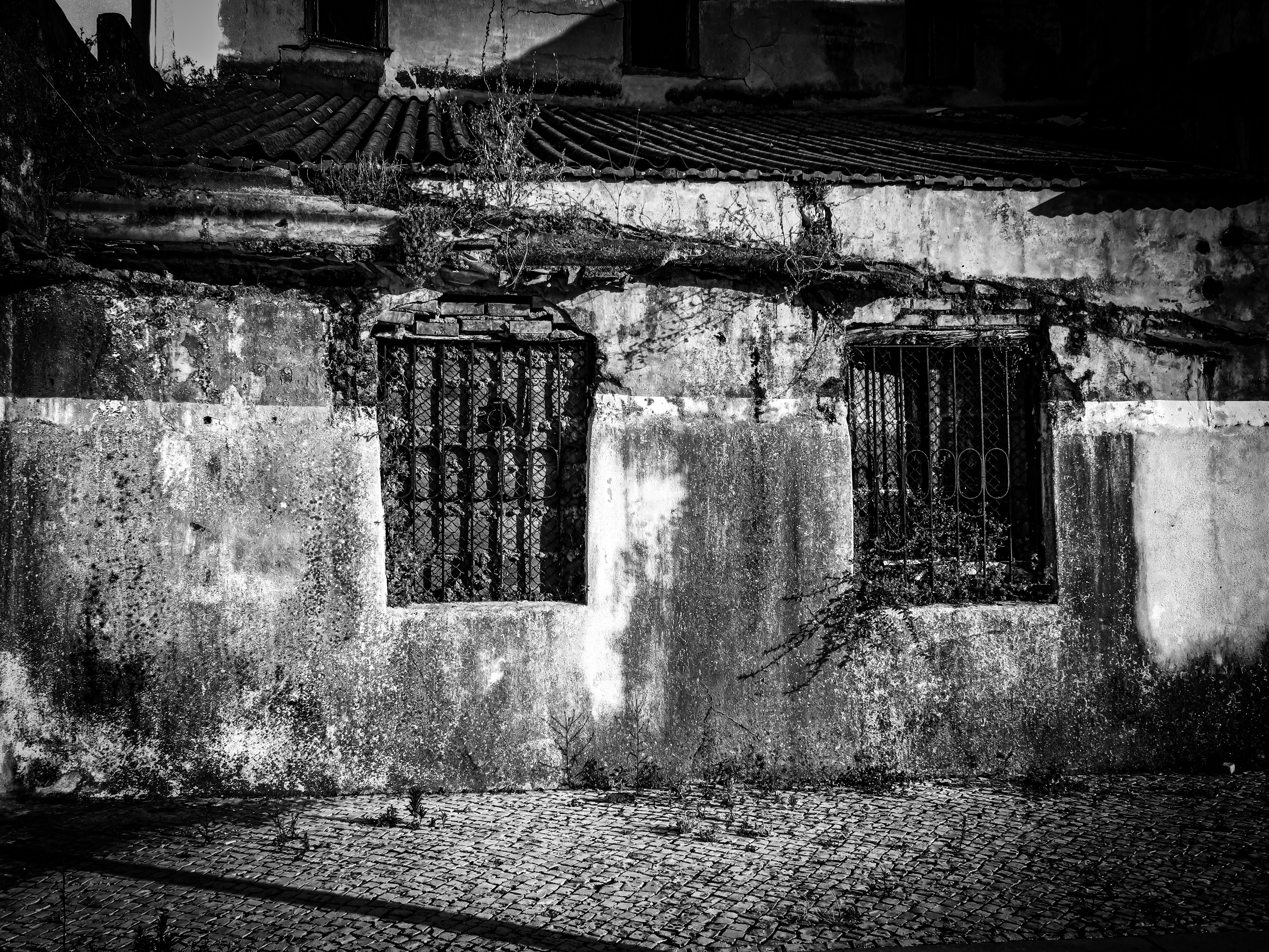 Photo by jgcachafeiro