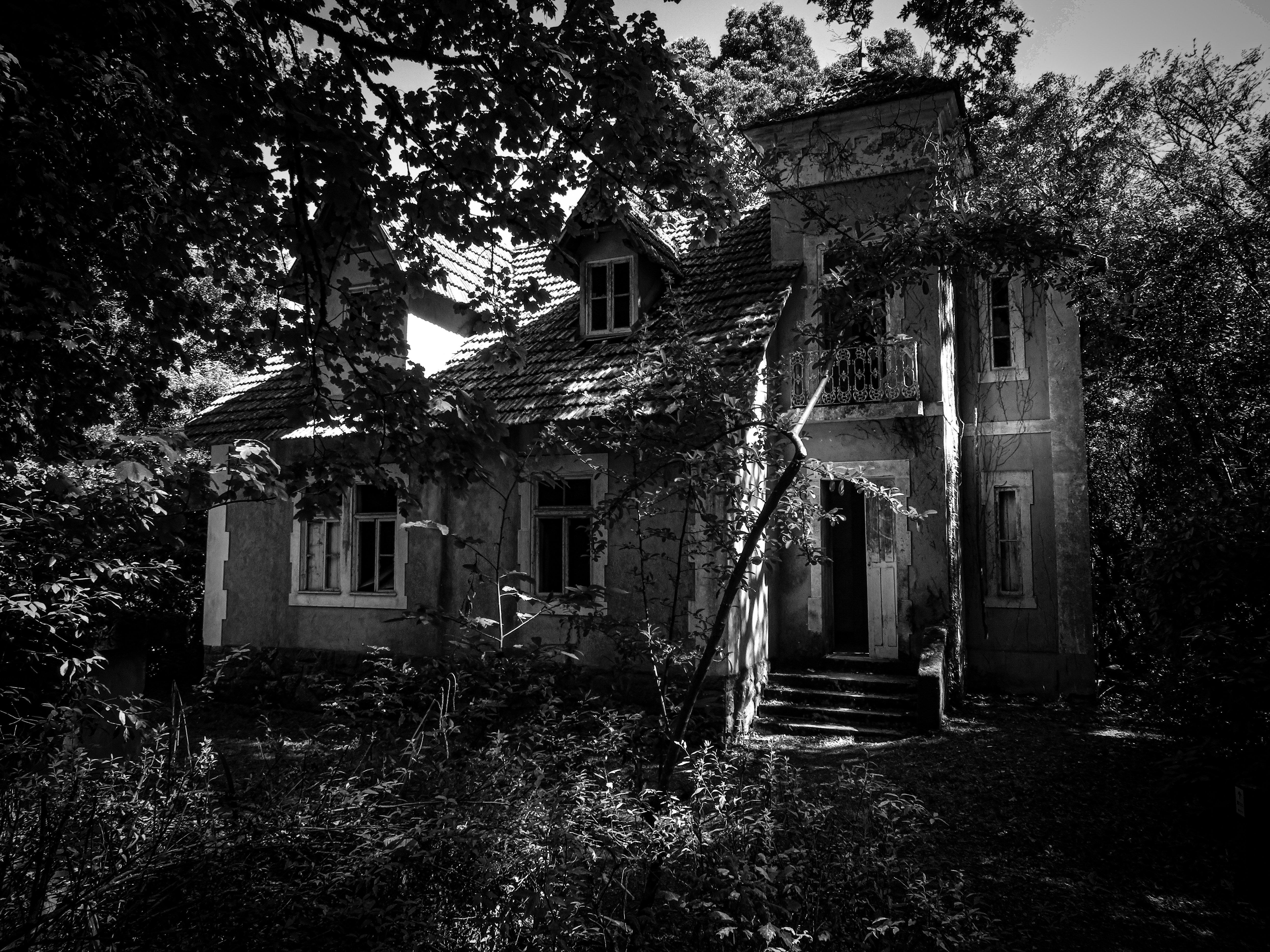 Photo by jgcachafeiro