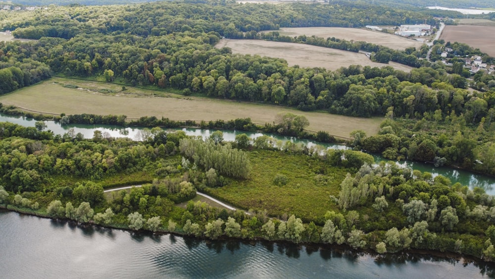 a river with trees and grass