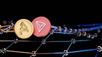 Two virtual coins, one gold with a bear symbol and another pink featuring a triangular logo, are positioned against a backdrop of interconnected digital nodes. The image conveys a futuristic and technological ambiance.