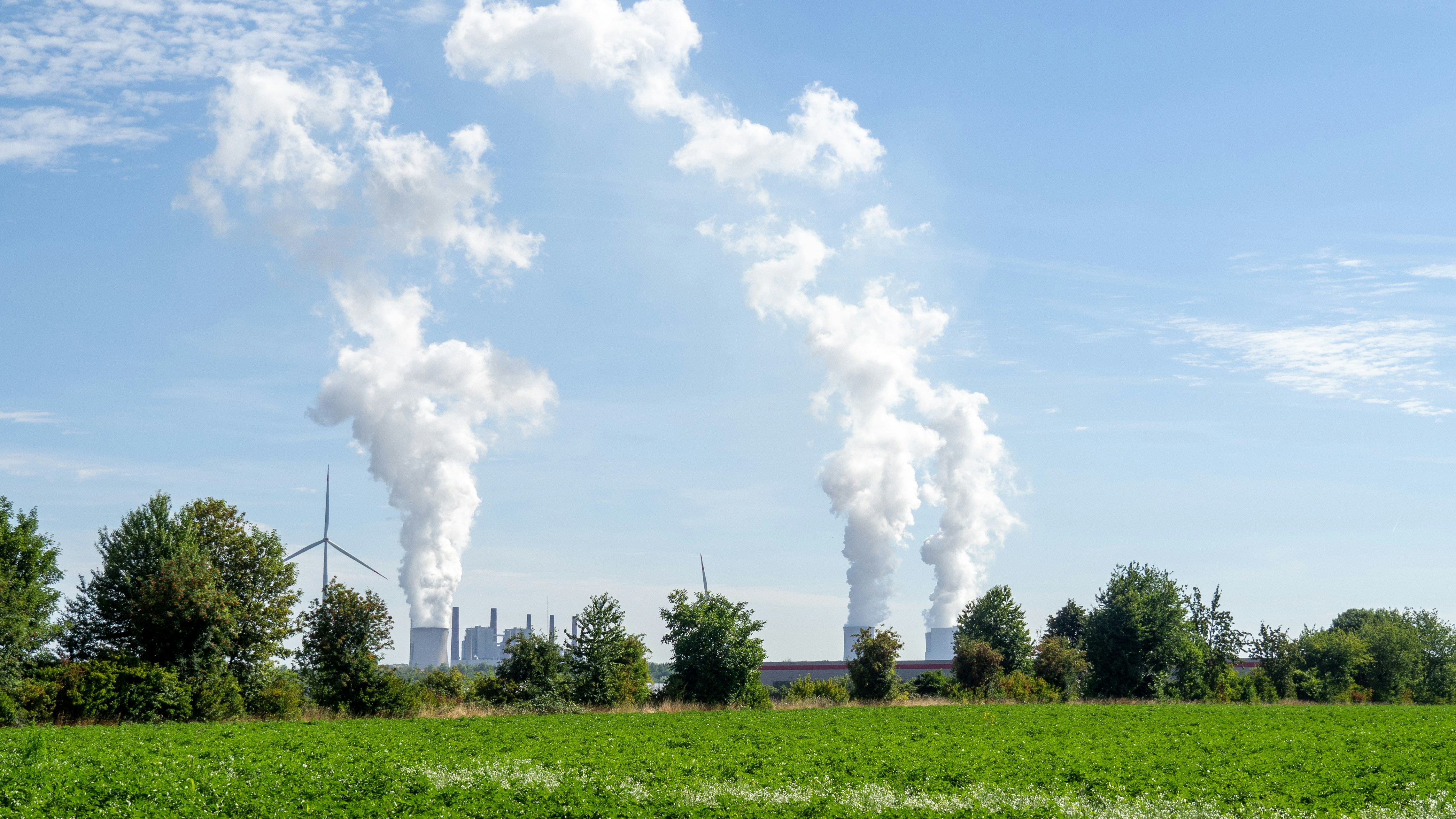탄소 감축 기술을 활용한 기업 사례 - a field with smoke coming out of it