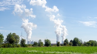 Technical Pathways to Decarbonization