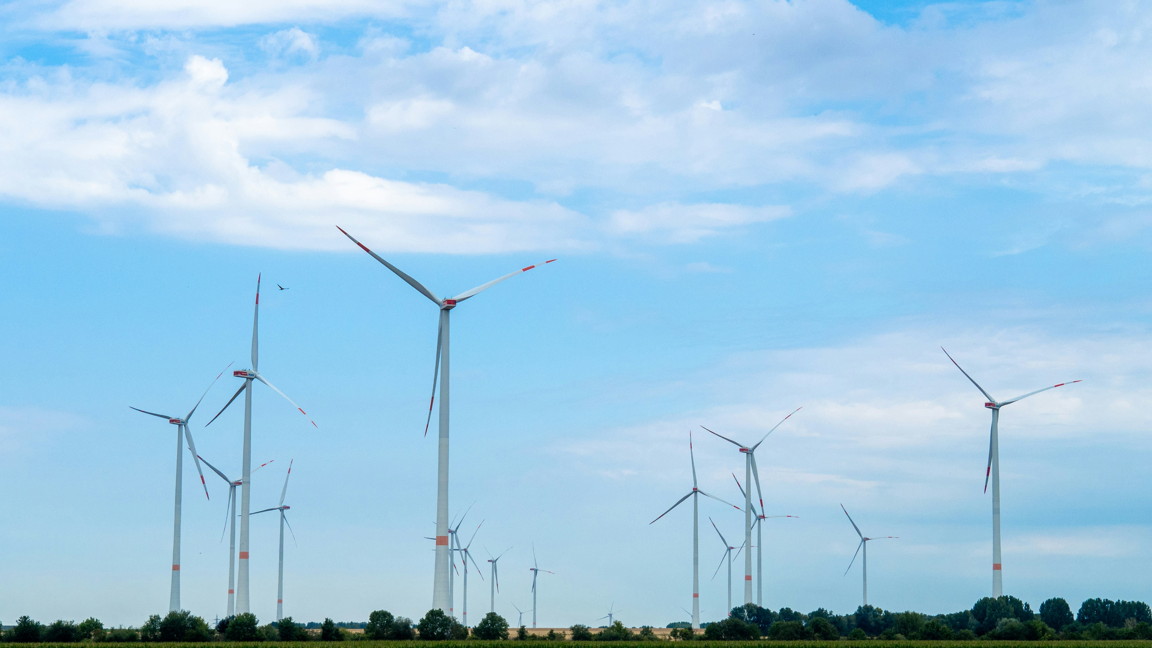 Windmills near Bedburg Germany in sustainable landscape