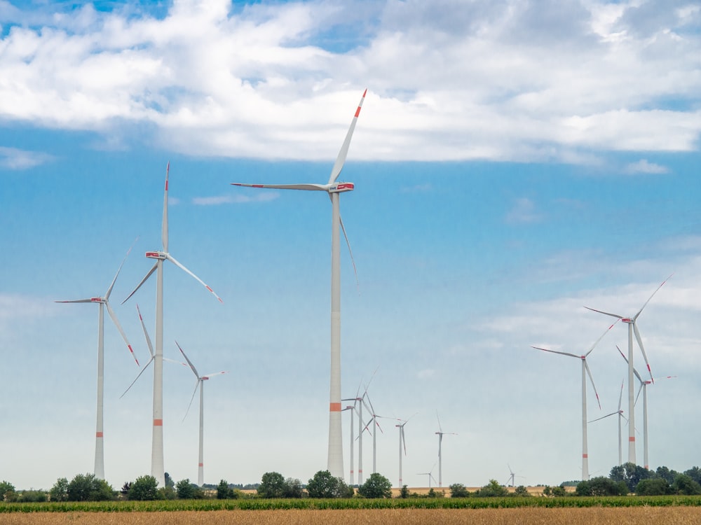 a group of wind turbines