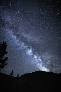 Milky Way Pines
