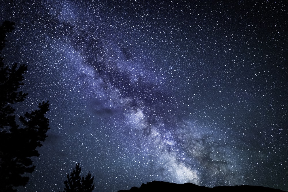 a starry night sky with trees