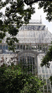A skilled technician inspecting sturdy frame structures within a verdant greenhouse setting.